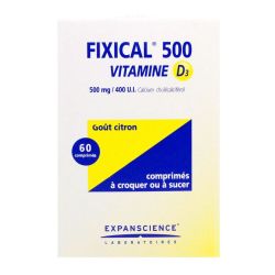 Fixical D3 500 60Cp