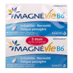 Magnevie B6 Lot De 2