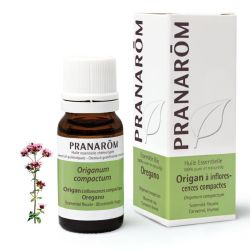 Origan à inflorescences compactes - 10 ml