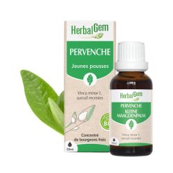 Bourgeon de Pervenche - 30 ml