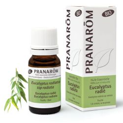 Pranarom Hle Ess Bio Eucalypt Radié Fl/10Ml