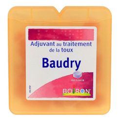 Baudry Pate Homeo Bte 70G