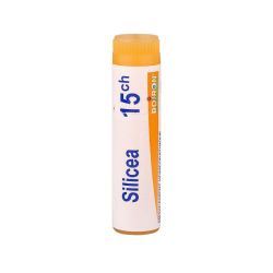 Silicea 15Ch Dose Gl