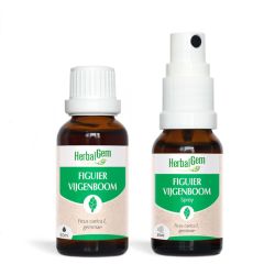 Duo pack Bourgeon de Figuier 30 ML + 15 ML