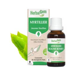 Bourgeon de myrtillier - 30 ml