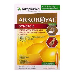 Arkoroyal Dynergie Gins Gelée Prop S Buv 20A