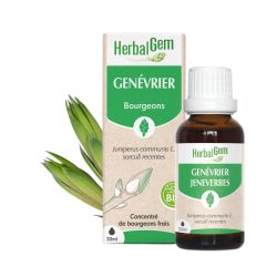 Bourgeon de Genévrier - 30 ml