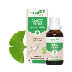 Bourgeon de Ginkgo Biloba - 30 ml