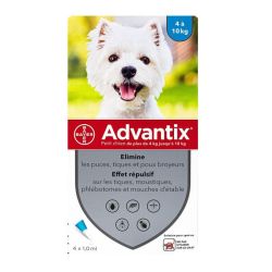 Advantix Petit Chien Pipet 1Ml4