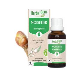 Bourgeon de Noisetier - 30 ml