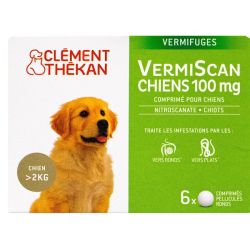 Vermiscan Chiens Cpr 100Mg 6