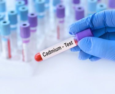 Cadmium : le dernier scandale de santé publique ? Que faut-il savoir ?