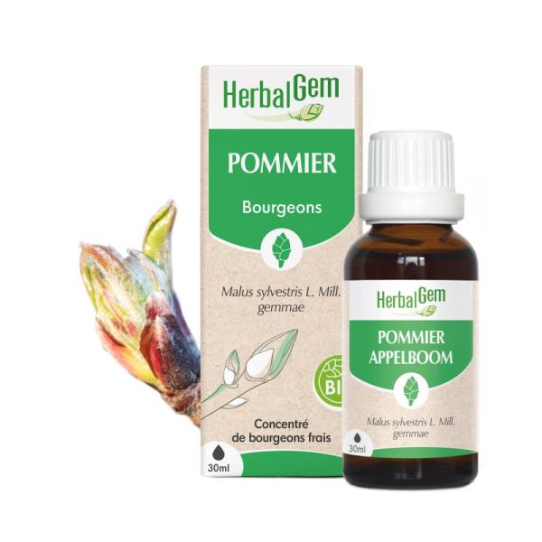 Bourgeon de pommier - 30 ml