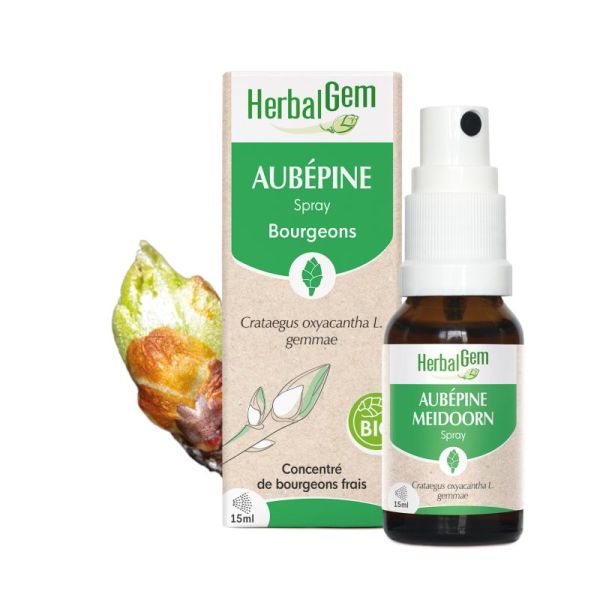 Bourgeon d'Aubépine - spray - 15 ml