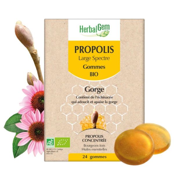 Herbalgem Propolis Gom Bio B/24