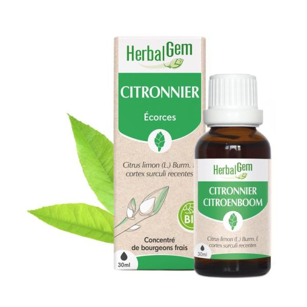 Bourgeon de Citronnier - 30 ml