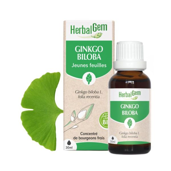 Bourgeon de Ginkgo Biloba - 30 ml