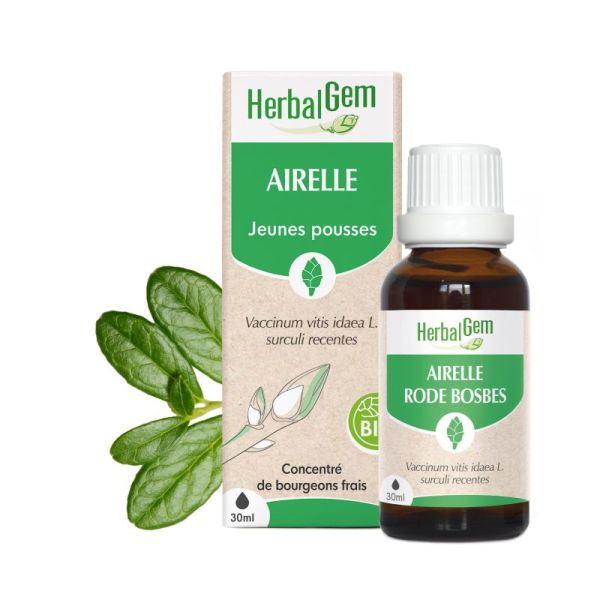 Bourgeon d'Airelle - 30 ml