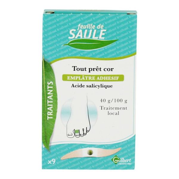 Feuille Saule Empl Pret Cors