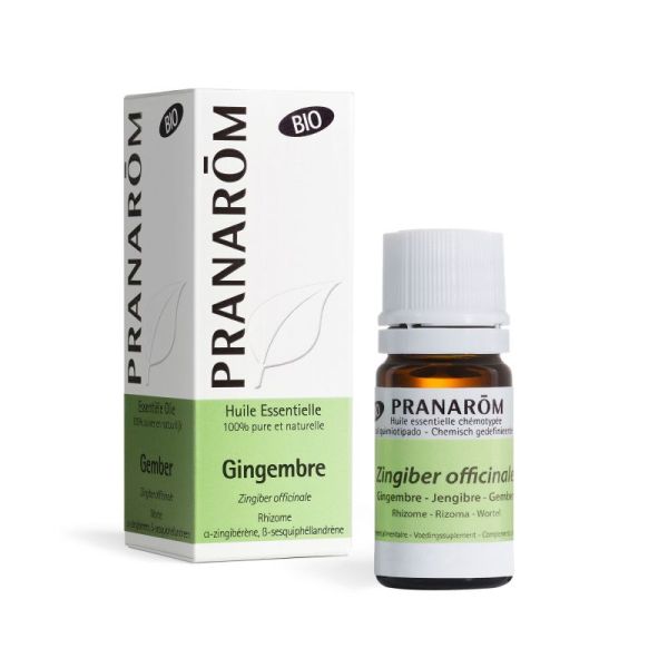 Pranarom Hle Ess Bio Gingembre Fl/5Ml