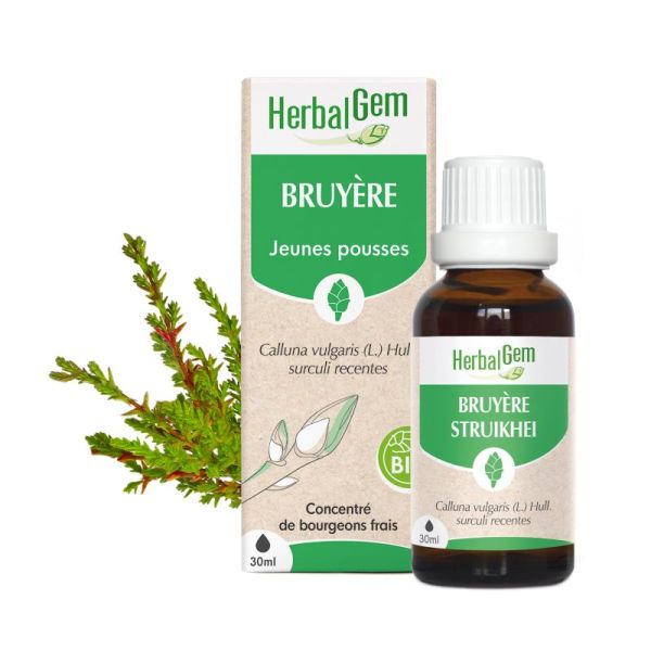 Bourgeon de Bruyère - 30 ml