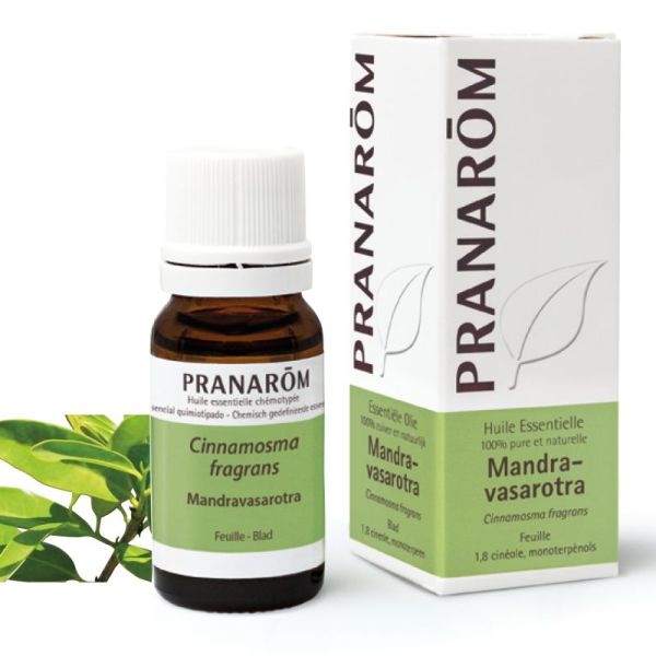 Mandravasarotra - 10 ml