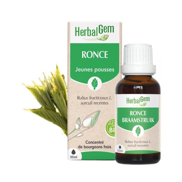 Bourgeon de Ronce - 30 ml