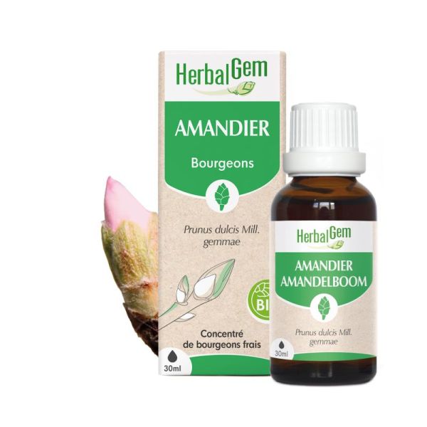 Bourgeon d'Amandier - 30 ml