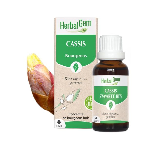 Herbalgem Cassis Macérat Bio Fl C-Gtt/30Ml