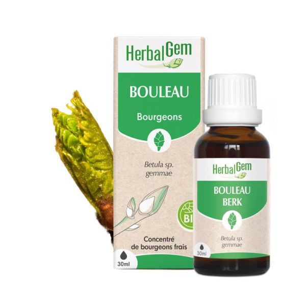 Bourgeon de Bouleau - 30 ml