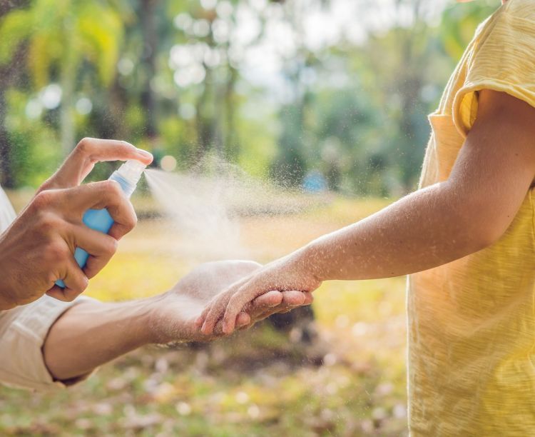 Protection contre les moustiques : pour un été en toute sérénité